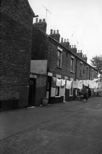 Bean Street Alexandra Terrace